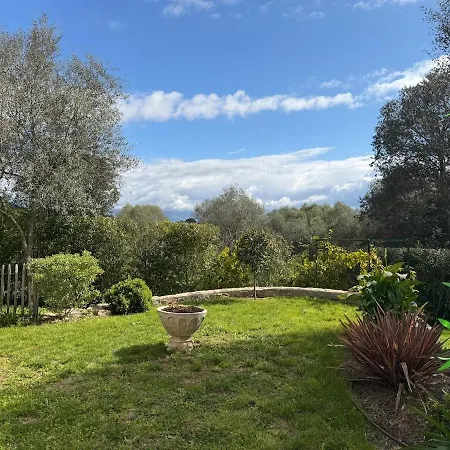 T3 Rez De à Ajaccio, Casa Alivu Appartement